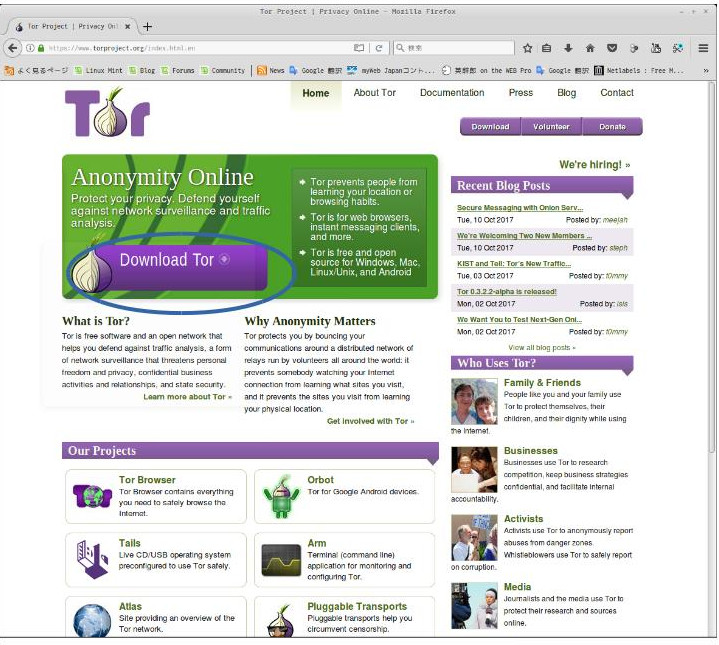 Tor1.jpg